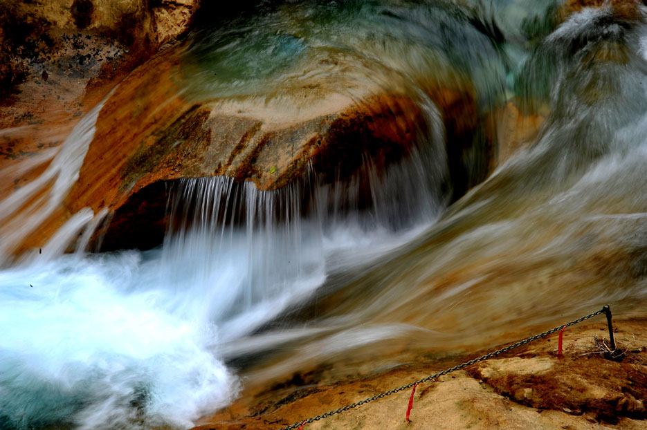 yjw_0611-1.jpg