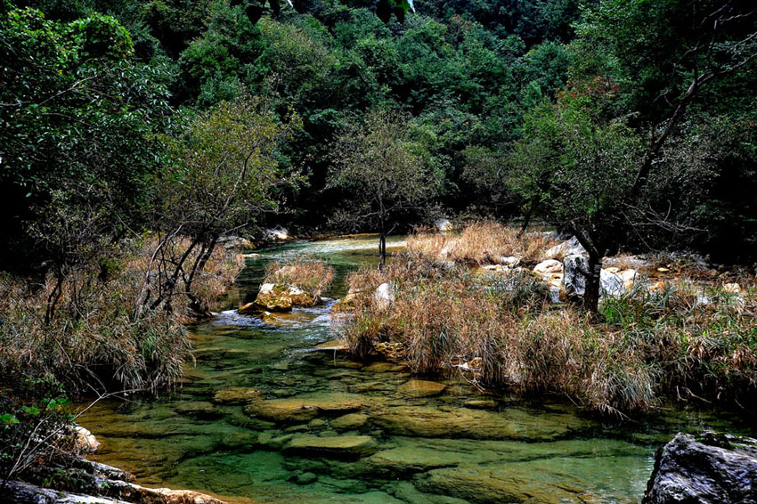 yjw_0622-1.jpg