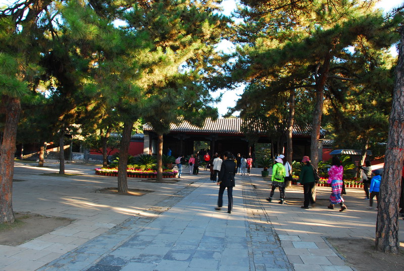 dsc_9399.jpg