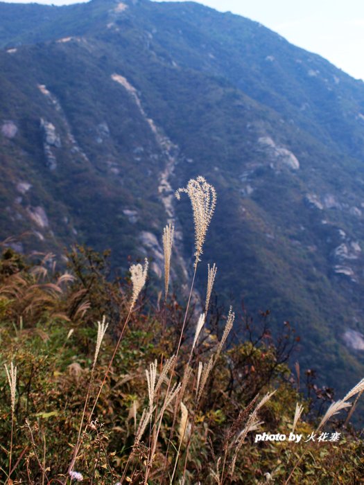 pa040617.jpg