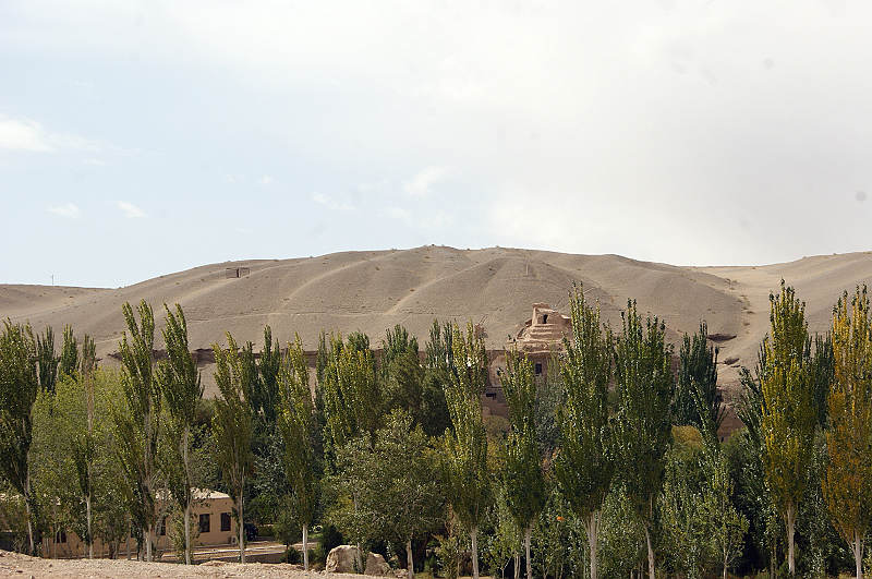 dsc04020.jpg