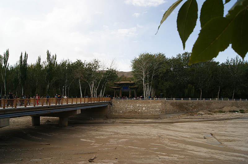 dsc04037.jpg