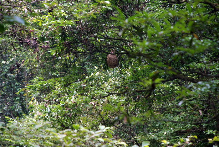 dsc_0056.jpg