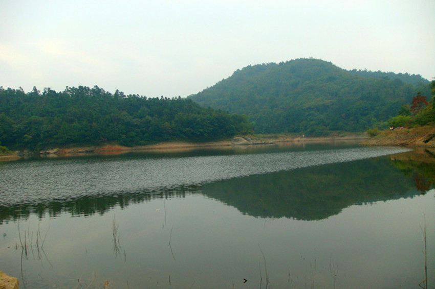 dsc08509___.jpg