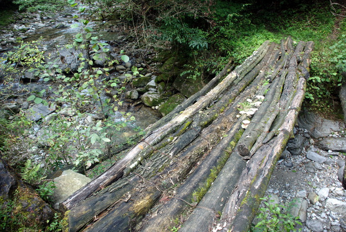 dsc_0070.jpg