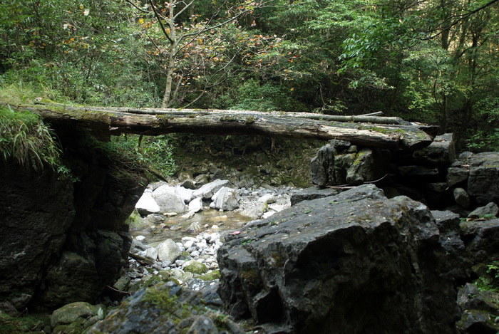 dsc_0059.jpg