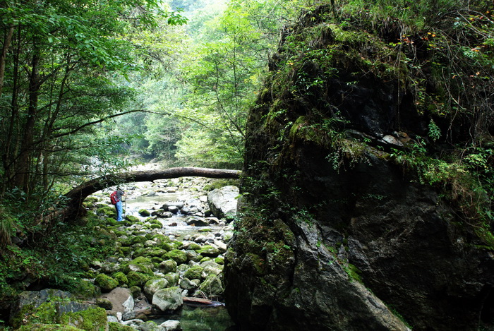 dsc_0060.jpg