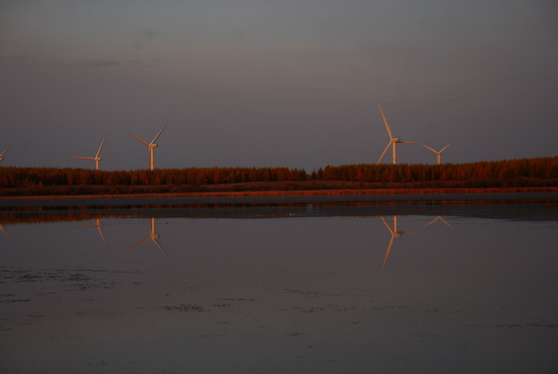 dsc_9622.jpg