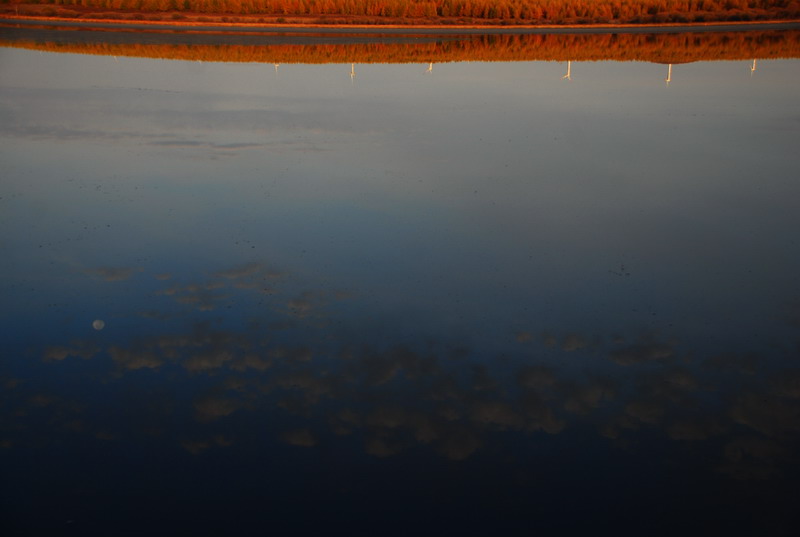 dsc_9674.jpg