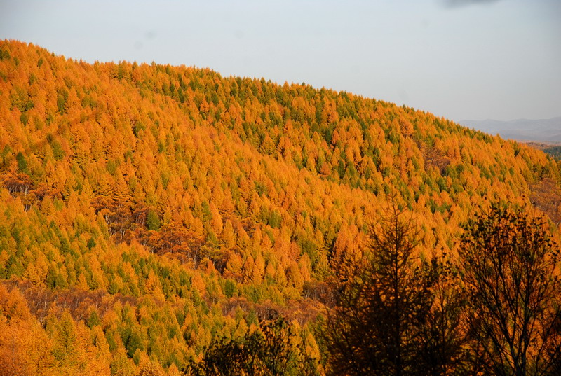 dsc_9755.jpg