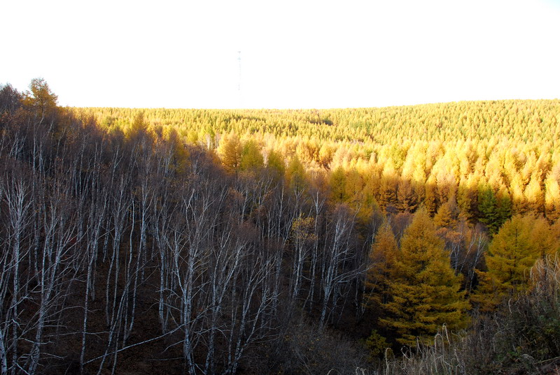 dsc_9762.jpg