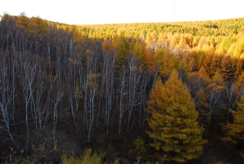 dsc_9767.jpg
