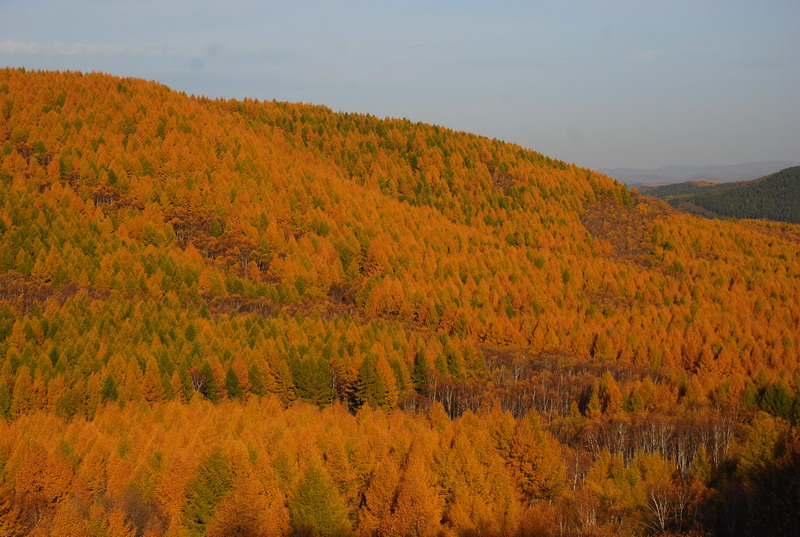 dsc_9788.jpg