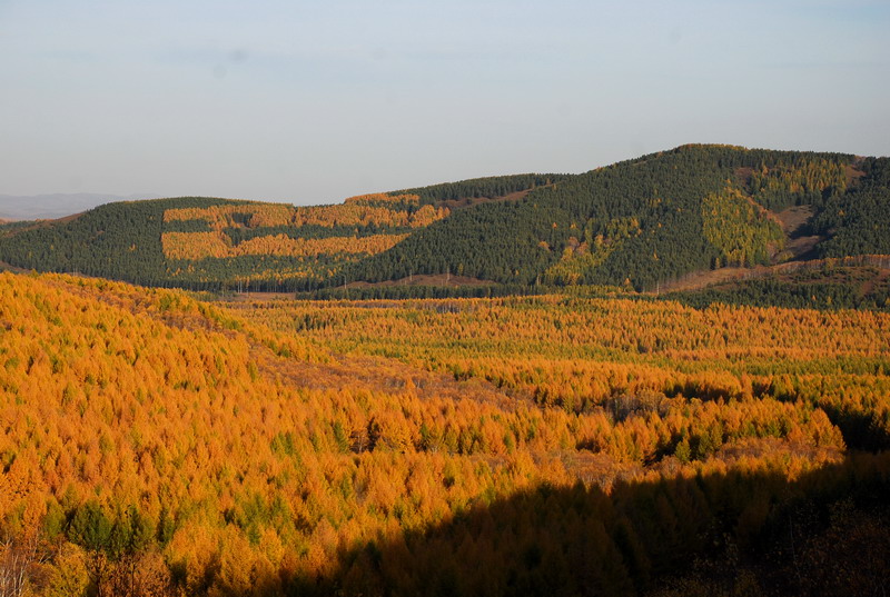 dsc_9790.jpg