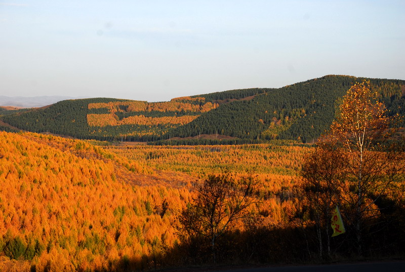 dsc_9793.jpg
