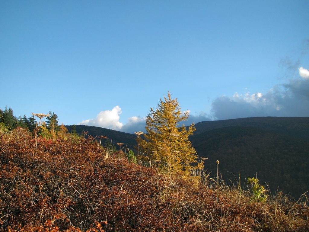 img_0067.jpg