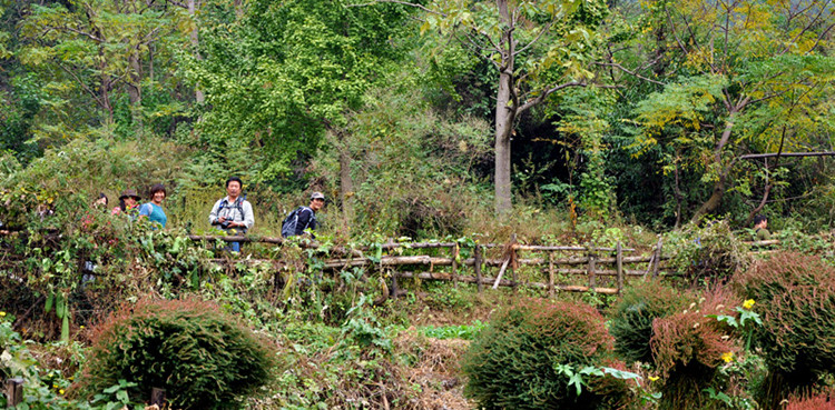 dsc_0019__.jpg