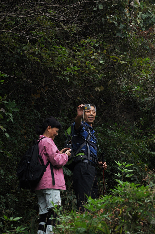 dsc_0029_.jpg
