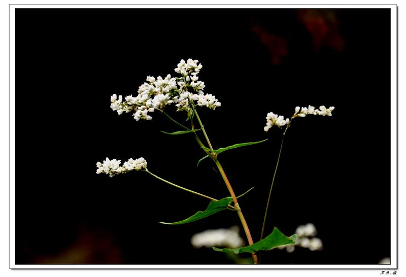 Ҧɽ崩Խ (19).jpg