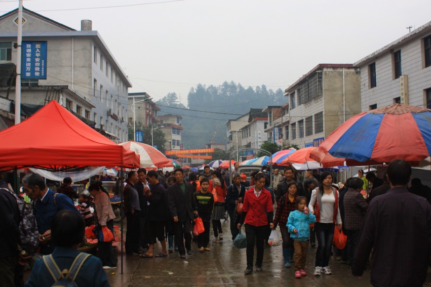 Ƭ 608_conew1.jpg