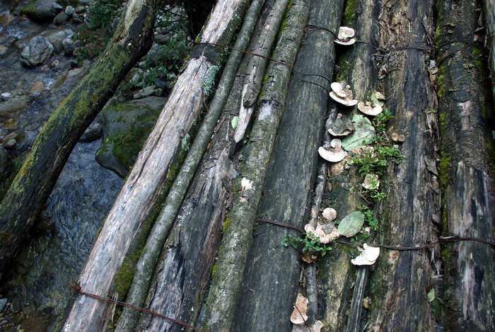 dsc_0078.jpg