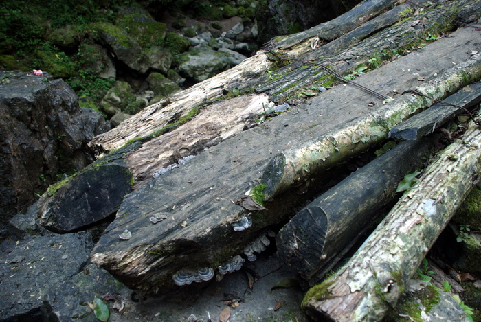 dsc_0081.jpg
