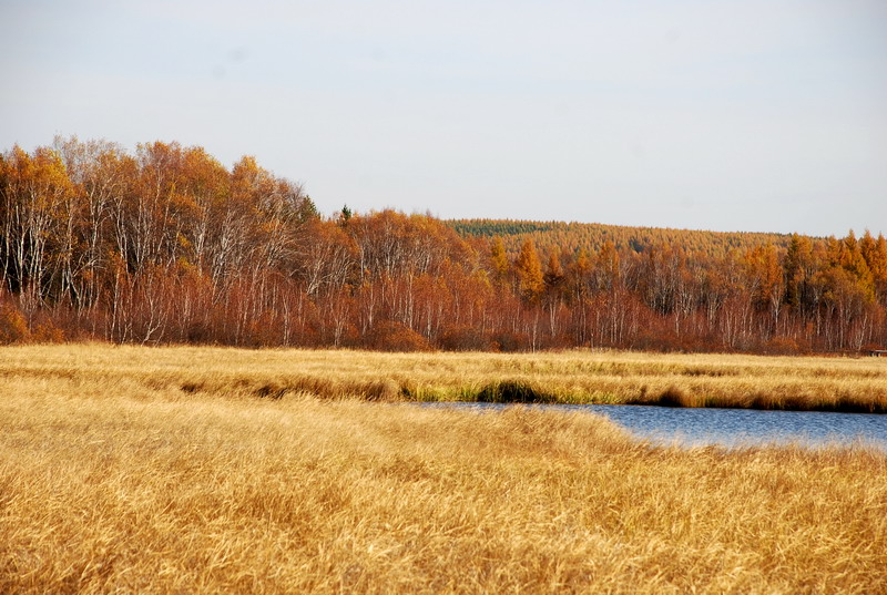 dsc_9828.jpg