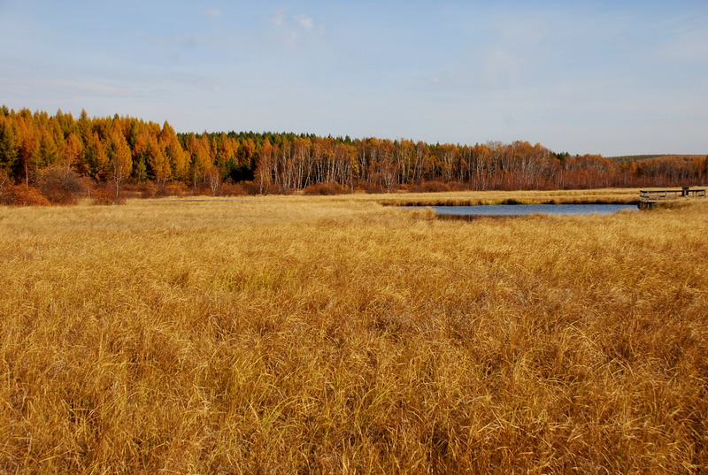 dsc_9830.jpg