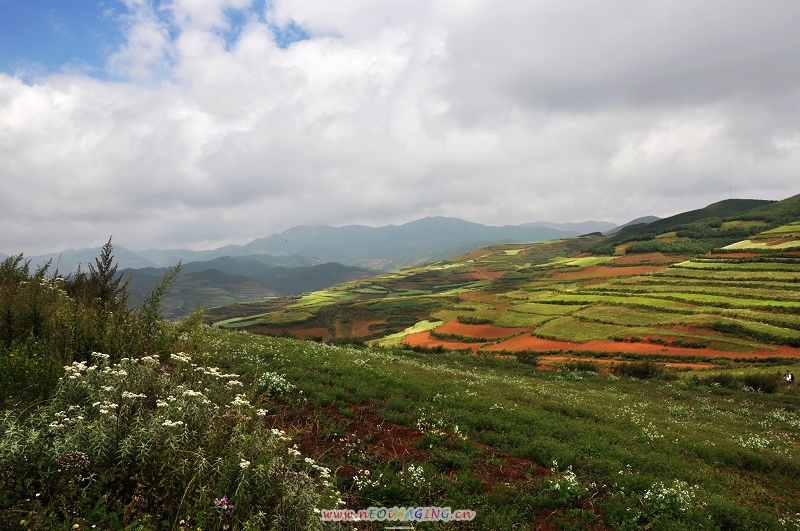 dsc_0114-1.jpg