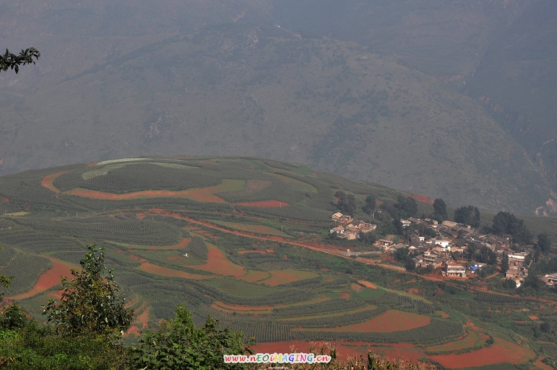 dsc_0146-1.jpg
