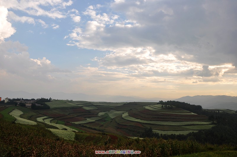 dsc_0275-1.jpg
