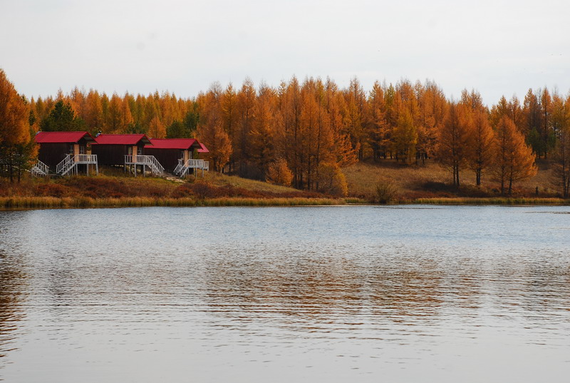 dsc_9903.jpg
