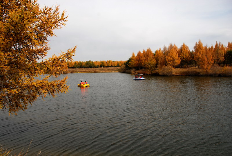 dsc_9924.jpg