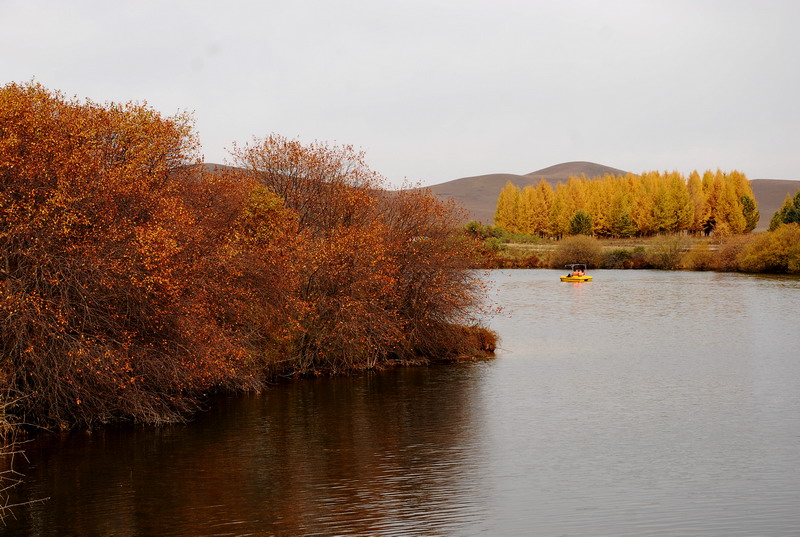 dsc_9941.jpg