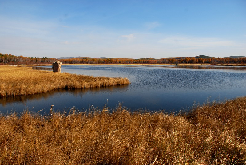 dsc_9851.jpg
