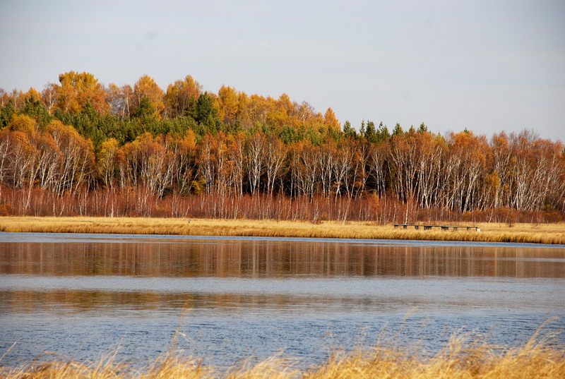 dsc_9858.jpg