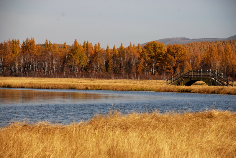 dsc_9859.jpg