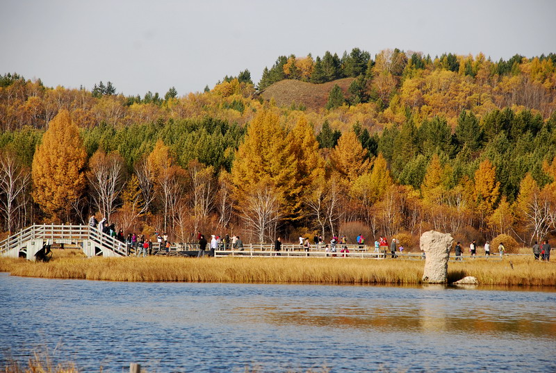 dsc_9861.jpg
