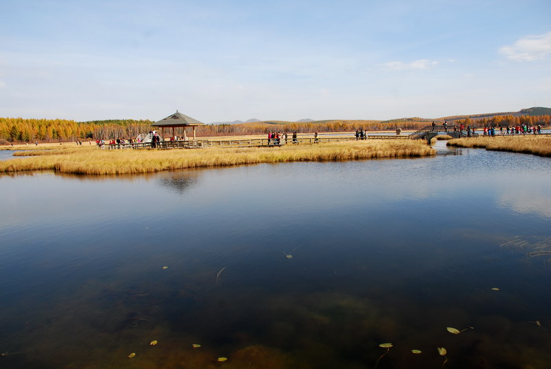 dsc_9873.jpg