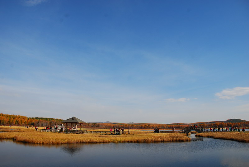 dsc_9874.jpg