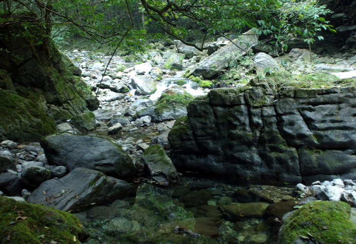 dsc_0091.jpg