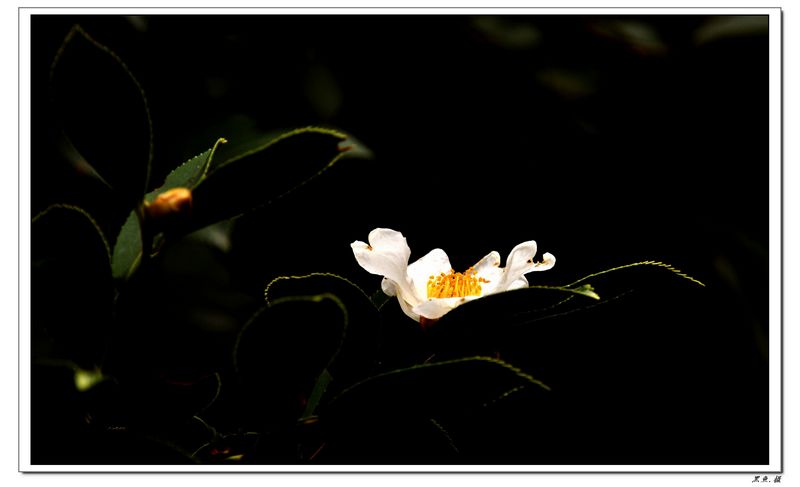 Ҧɽ崩Խ (80).jpg