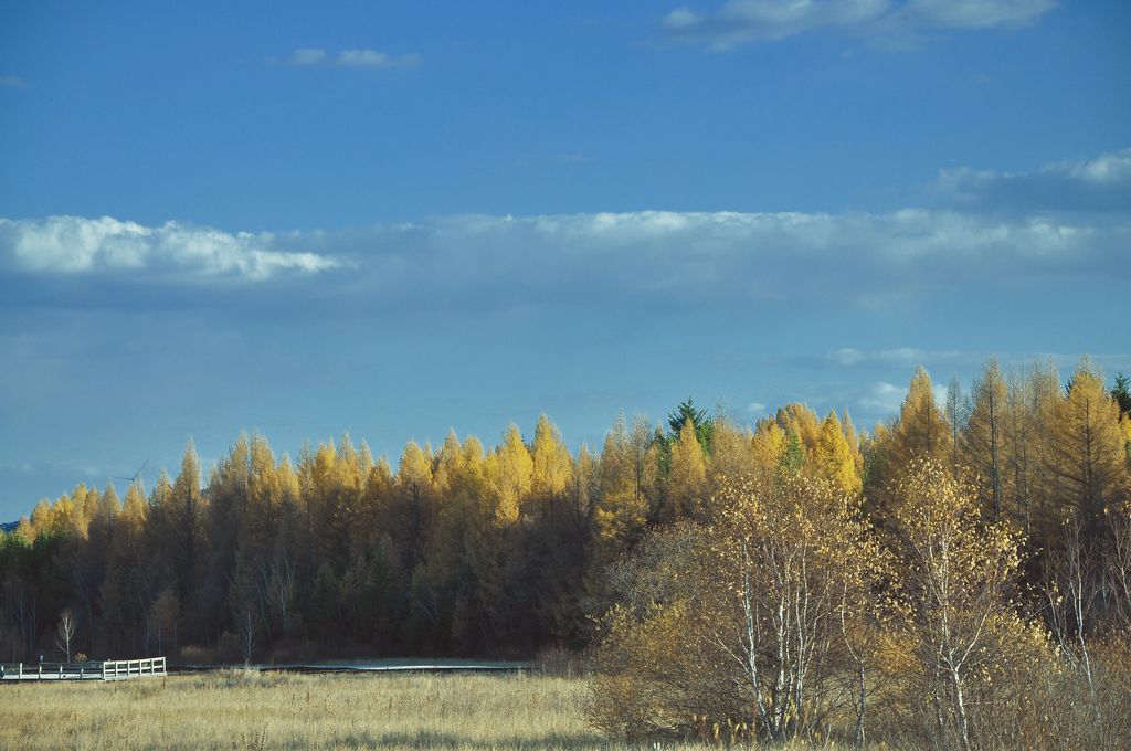dsc_0183.jpg