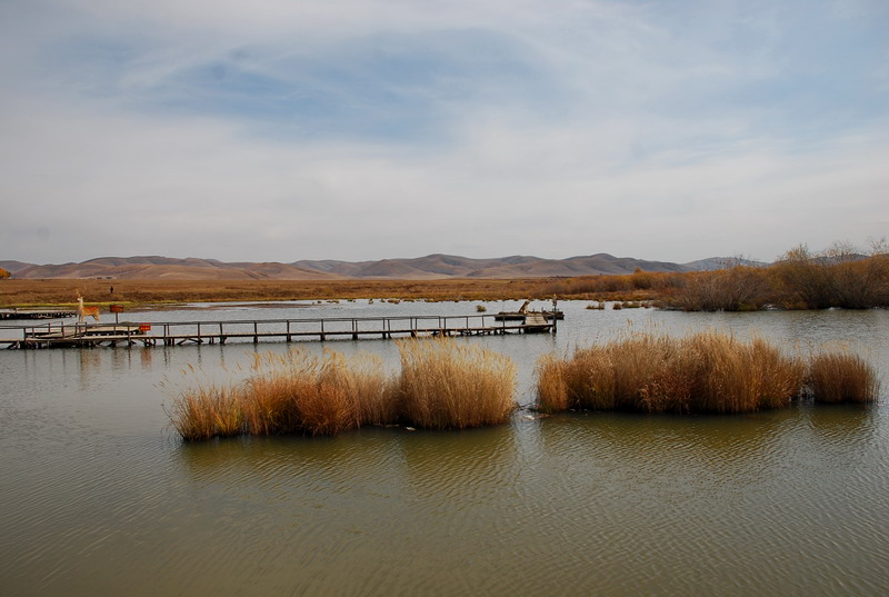 dsc_9986.jpg