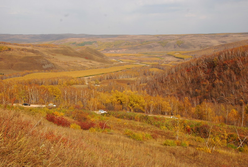 dsc_0118.jpg