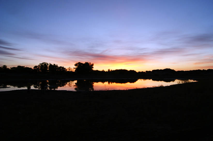 dsc04444.jpg