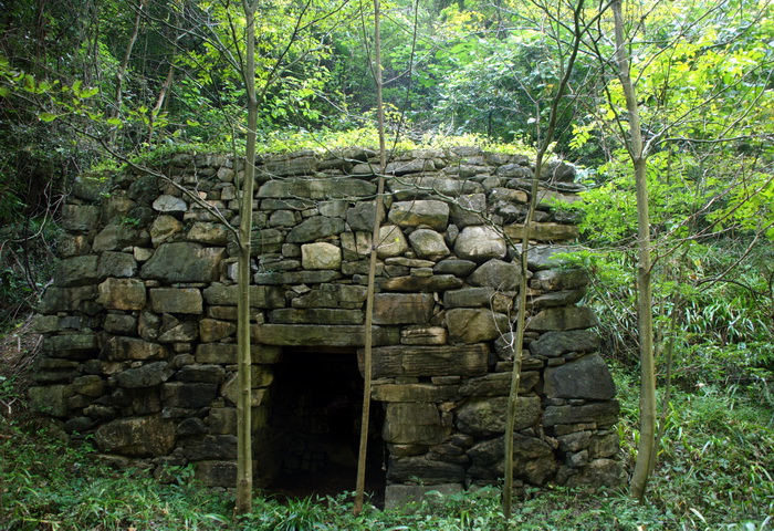 dsc_0101.jpg