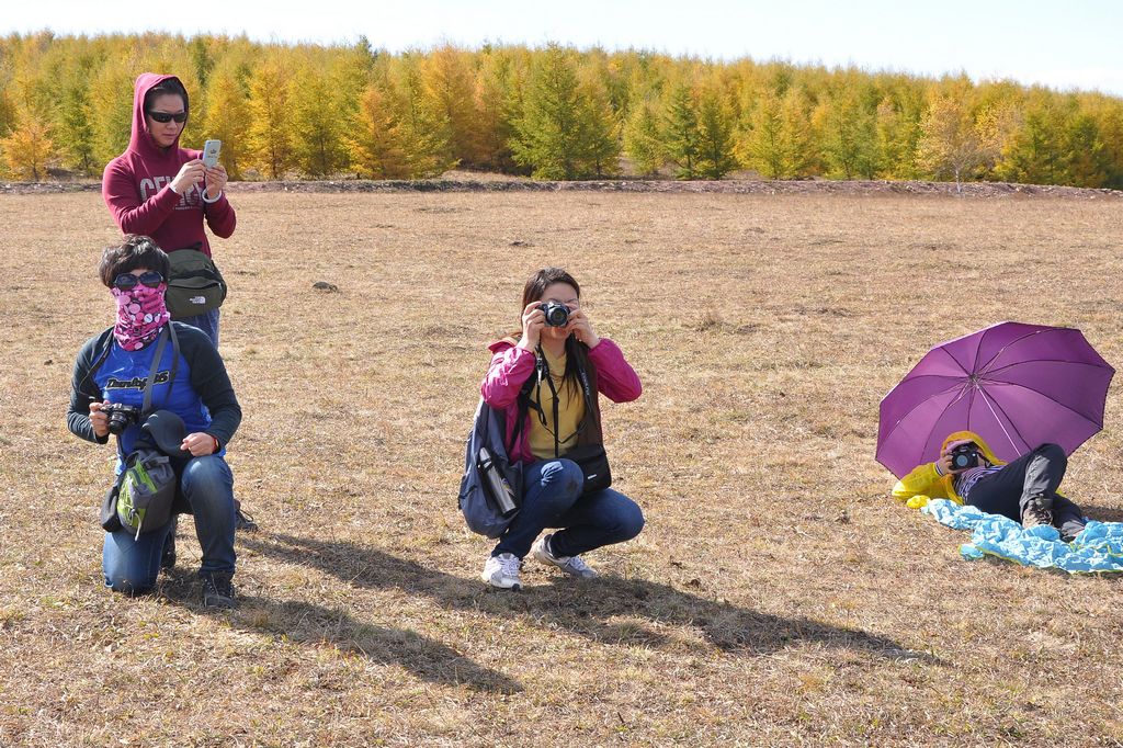 dsc_0115.jpg