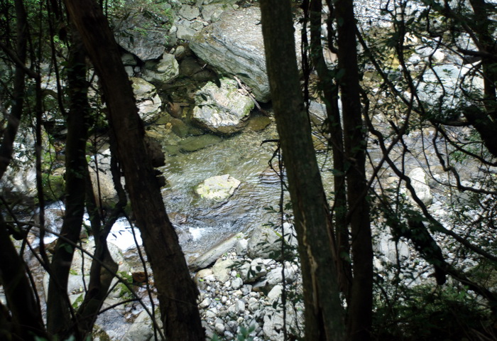 dsc_0110.jpg