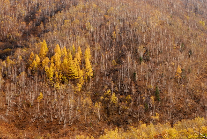 dsc_0125.jpg